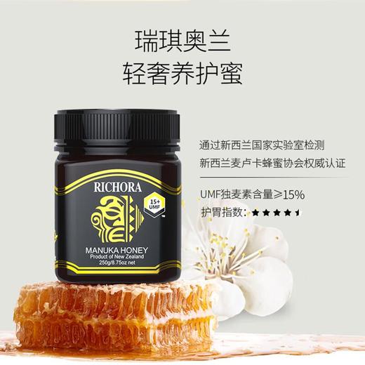 瑞琪奥兰-麦卢卡蜂蜜（UMF15+)250g经典系列 商品图0