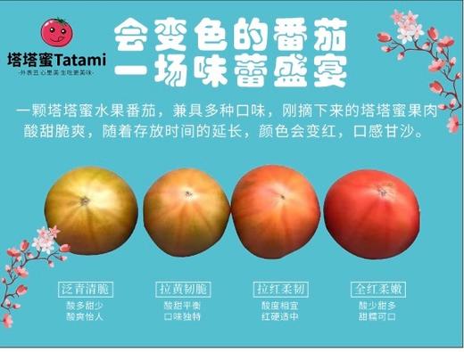 【甜蜜如初恋】塔塔蜜-草莓番茄  云南老味道番茄 商品图4