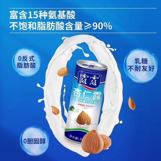 承德露露杏仁露原味/无糖240ml*20罐整箱装赠480ml两罐 商品图1