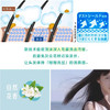 【国民洗发水】花王Merit无硅油弱酸性洗发水护发素 450ml温和全家用 商品缩略图6
