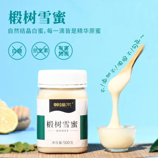 【定制精选】等蜂来蜂蜜  东北长白山黑蜂椴树雪蜜500g 商品图0