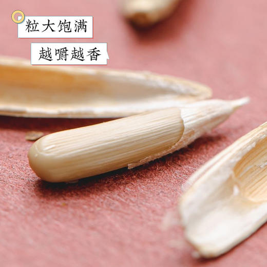 新疆 · 雪葵马牙瓜子 商品图3