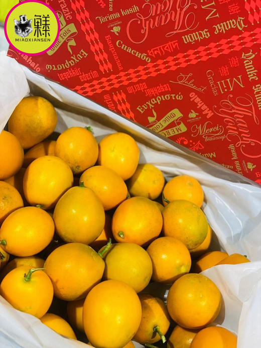 【大桔大利】脆蜜金柑（3A）礼盒1.6kg装 商品图4