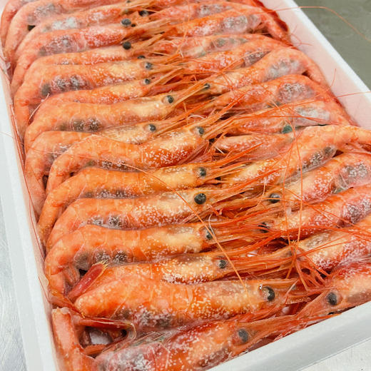 【日本原产】冷冻带籽甜虾 700g/盒 商品图2