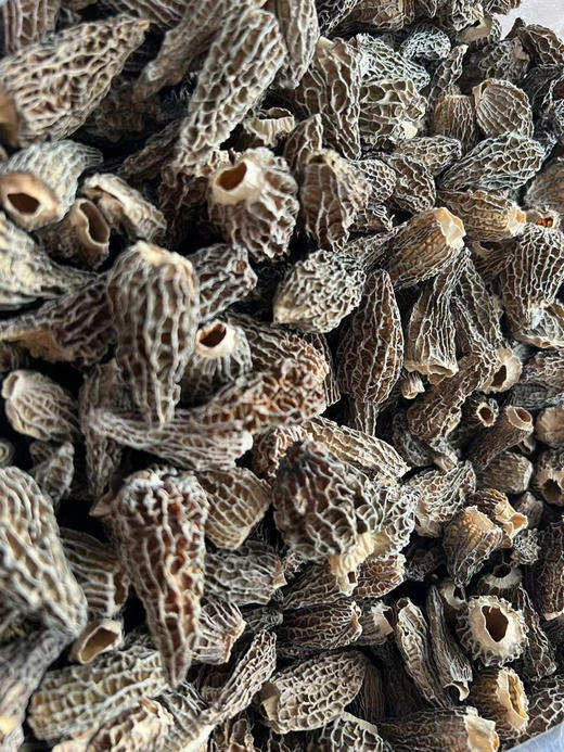 羊肚菌250g 商品图2