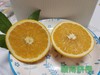 XZG-赣南脐橙（大） 5斤+-0.05/份～34元 商品缩略图0