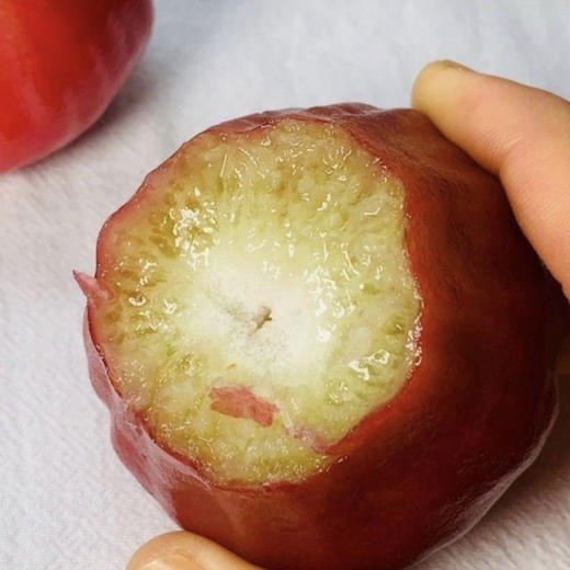 海南 三亚牛奶莲雾 3斤/箱 商品图2