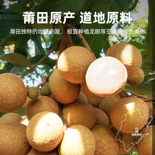 杞里香福建莆田特产龙眼干500g无核桂圆肉干非8a特级 商品图2