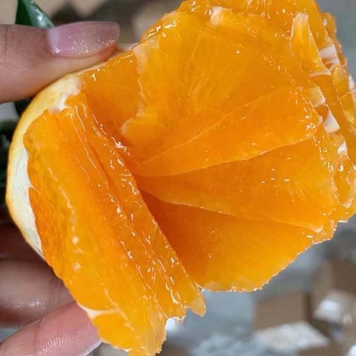 秭归九月老树红橙 果肉细腻，化渣度好橙香味十足，果园现摘现发 商品图10