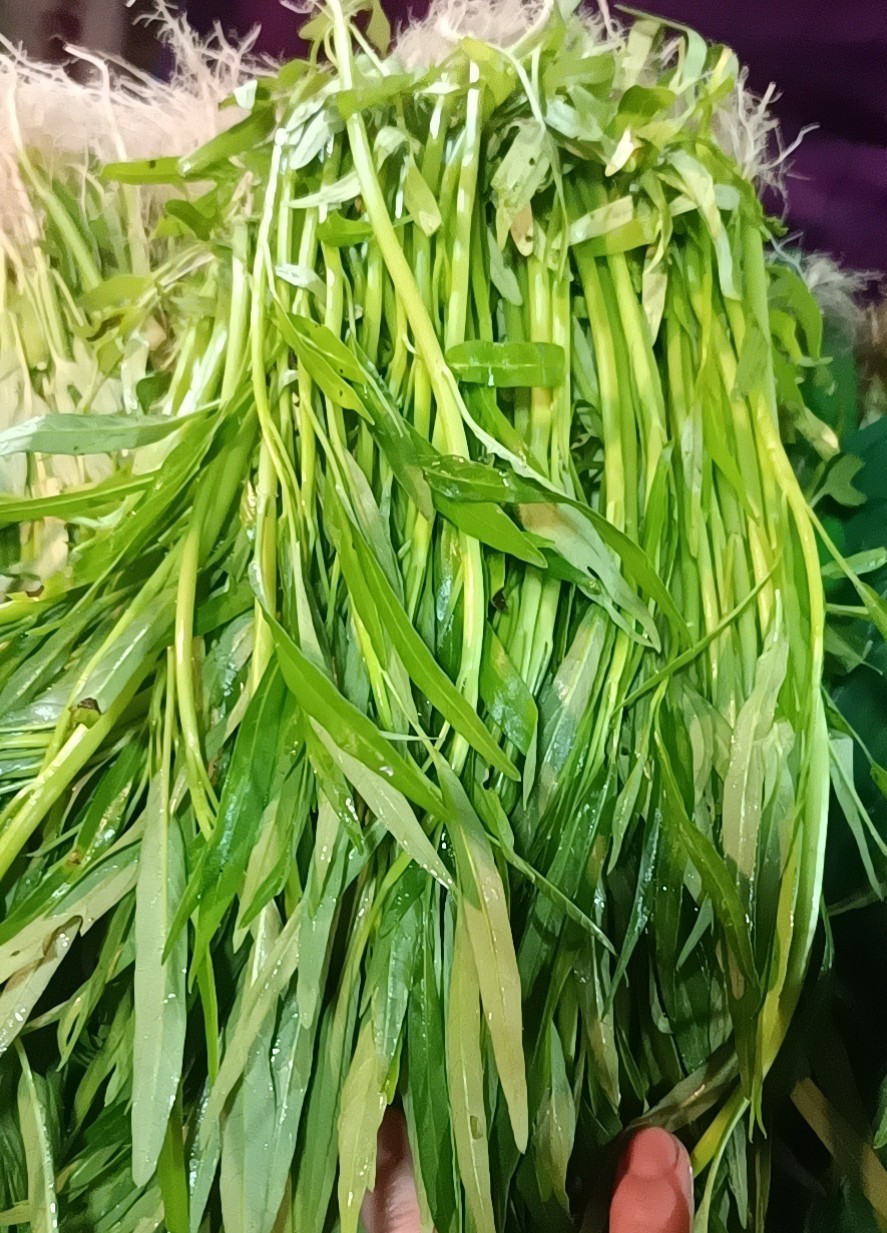 本地 青应菜（空心菜）