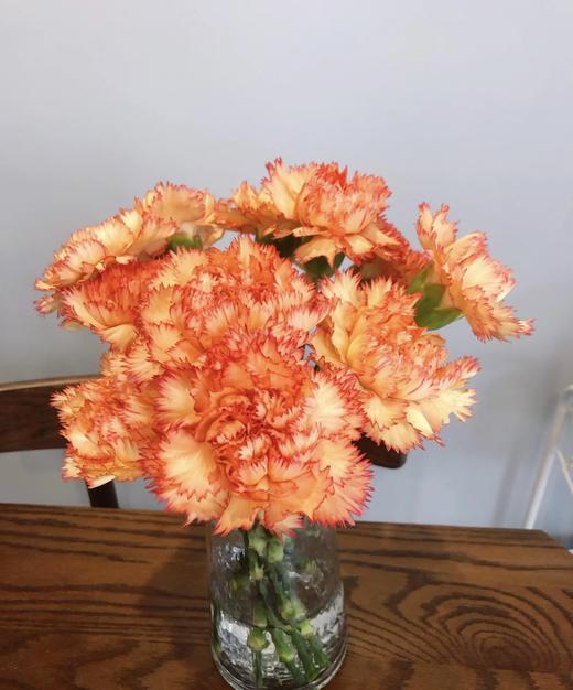 【国产康乃馨】-狂欢 18-20枝/扎 商品图2