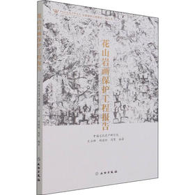 花山岩画保护工程报告