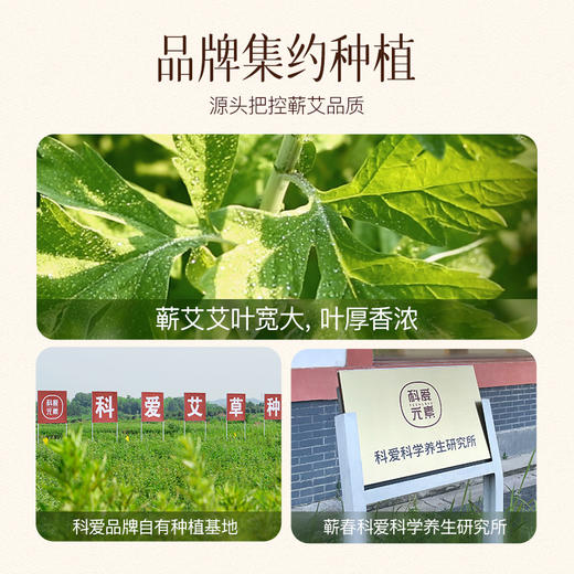 科爱元素大炮灸蕲艾条！100分钟持续灸热 ！​ ​ 古法陈制，道地靳艾！消除疫毒！​ ​ 商品图1