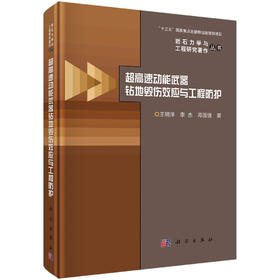 超高速动能武器钻地毁伤效应与工程防护/王明洋 李杰 邓国强