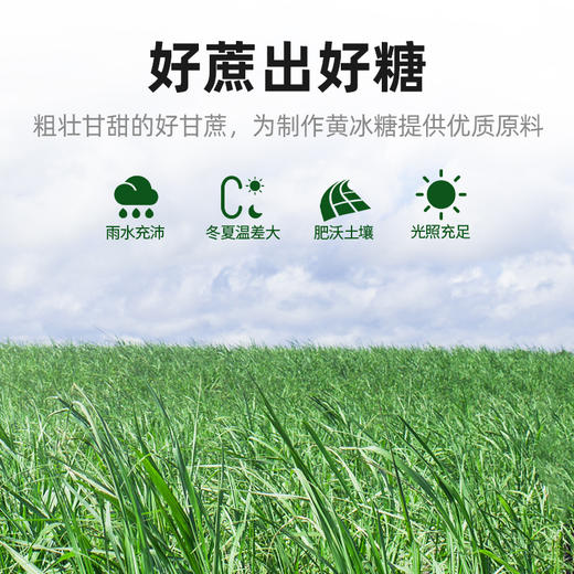 杞里香小粒黄冰糖老冰糖300g*2罐小块散罐装 商品图1