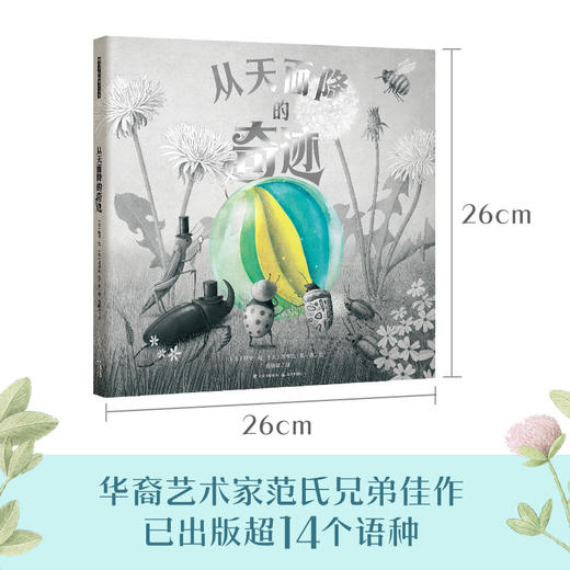 从天而降的奇迹 商品图4