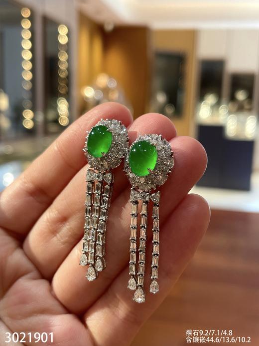 【3021901】具体价格微信咨询 商品图6