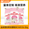 皇家猫奶糕幼猫粮BK34/K36-2kg 商品缩略图2
