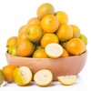 脆蜜金柑大果（500g左右） 商品缩略图0