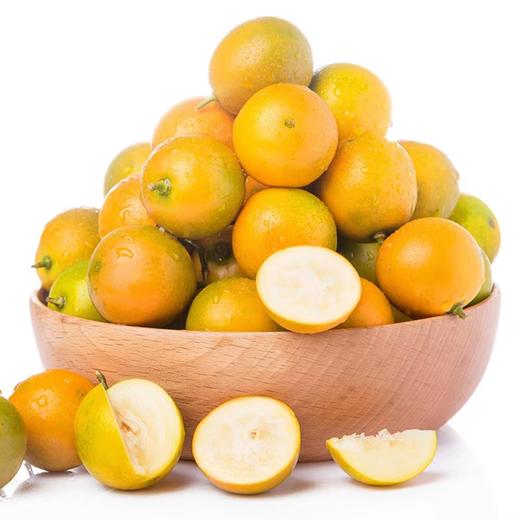 脆蜜金柑大果（500g左右） 商品图0