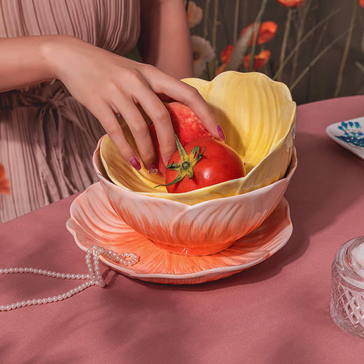 花园系列面碗（两件套） 商品图0