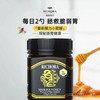 瑞琪奥兰-麦卢卡蜂蜜（UMF10+)250g经典系列 商品缩略图1