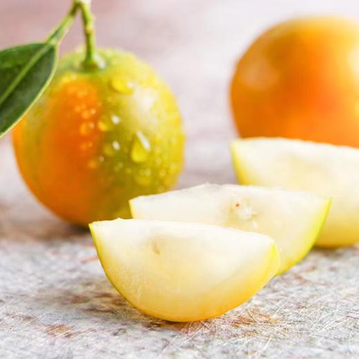 脆蜜金柑大果（500g左右） 商品图2