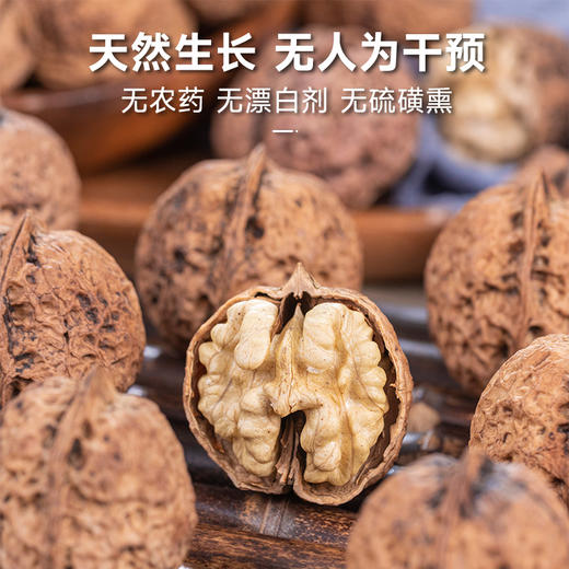 云南古树核桃/核桃仁/核桃油| 好产地孕育果实好品质 商品图4