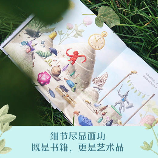 从天而降的奇迹 商品图3