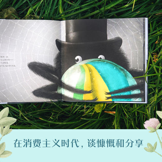 从天而降的奇迹 商品图2