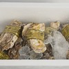 新鲜水产品   生蚝 多规格 可选 商品缩略图5