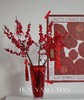 鸿运冬青 · 年宵瓶花 商品缩略图6