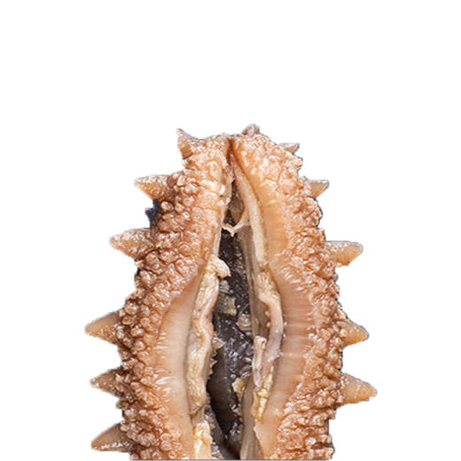 獐子岛淡干泡发海参【ZHSM8.0】 商品图3
