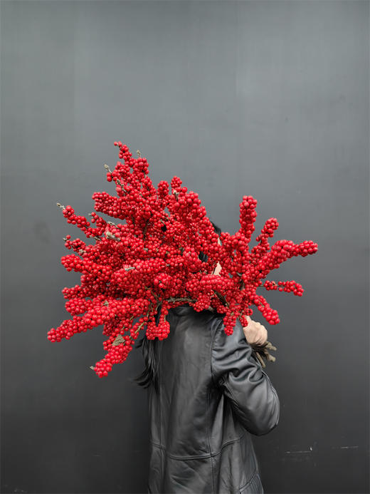 天物状元红特级北美冬青富贵籽 商品图2