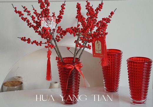 鸿运冬青 · 年宵瓶花 商品图5