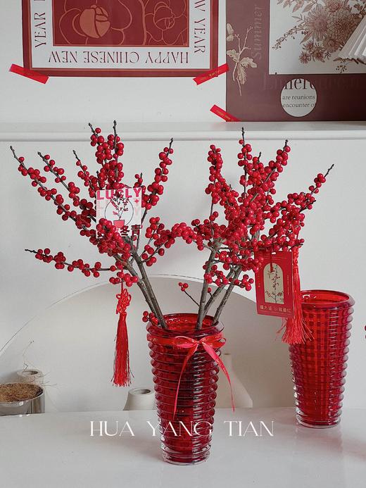 鸿运冬青 · 年宵瓶花 商品图4