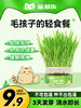 猫草盆栽小麦种子粒土培懒人成幼猫非已种好冻干零食水培猫咪用品 商品缩略图0