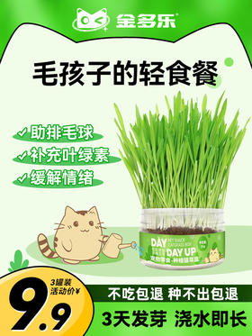猫草盆栽小麦种子粒土培懒人成幼猫非已种好冻干零食水培猫咪用品