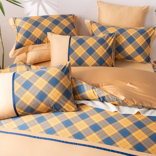 多喜爱 全棉新疆精梳棉刺绣工艺款简约时尚四件套 环球之旅/茹伊/fx 商品图3