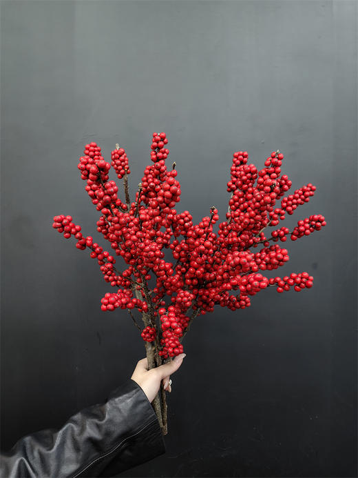 天物状元红特级北美冬青富贵籽 商品图10