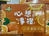 心想事橙 商品缩略图0