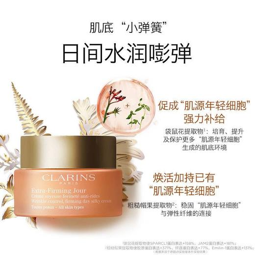 CLARINS 娇韵诗 弹簧三件套 新春礼盒 商品图1
