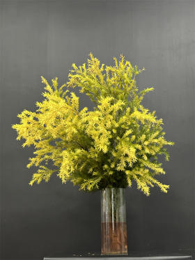 精品精品花材千层金可做干花