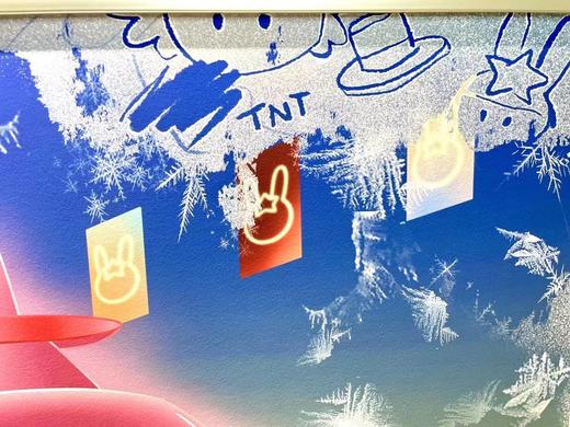 太农泰《彩宝》66+10ap 商品图3