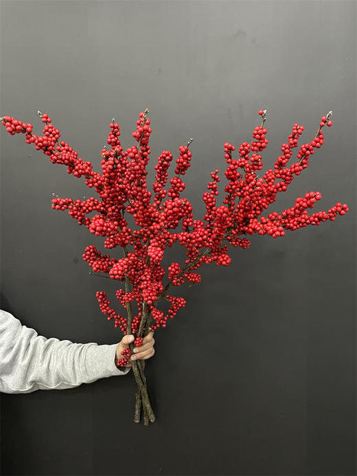 天物状元红特级北美冬青富贵籽 商品图13