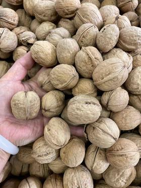 新疆阿克苏185纸皮核桃（未经分拣没有化肥的农家肥核桃）新疆特产 坚果 休闲零食