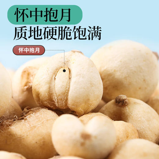 神农金康 四川贝母50克  原生态真滋补 喝护家人健康 商品图1