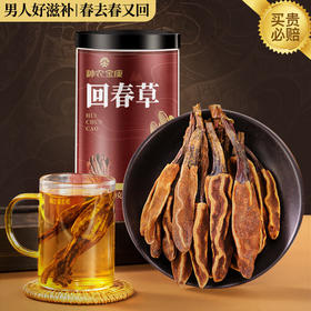 神农金康 回春草250g 云南不老草  原生态真滋补 喝护家人健康