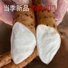 【劲爆补贴】正宗温县铁棍山药8斤/提 垆土铁棍山药 地道怀山药 地理标志性产品 商品缩略图1