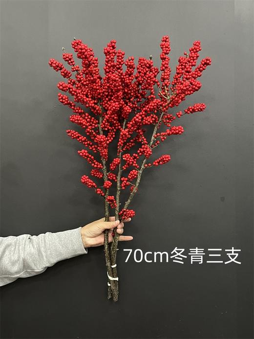 天物状元红特级北美冬青富贵籽 商品图7